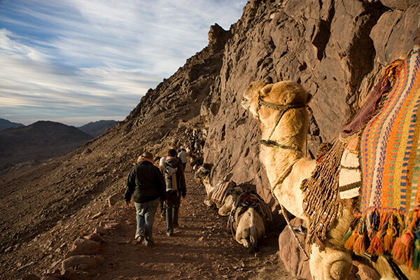 Sinai Heritage