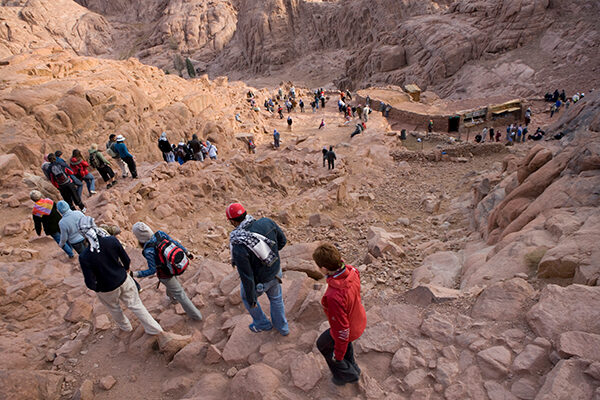 Sinai Heritage