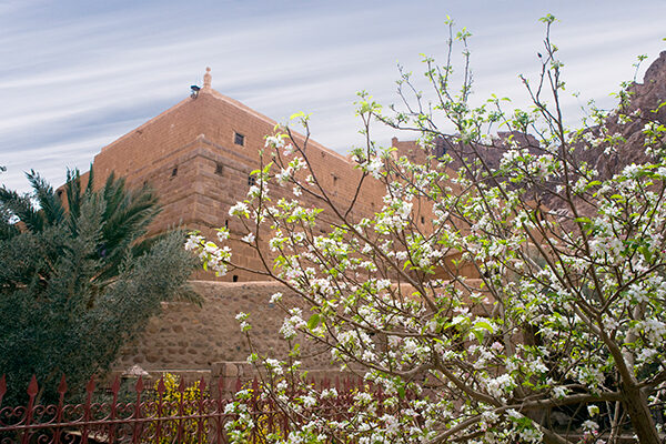 Sinai Heritage