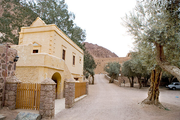 Sinai Heritage