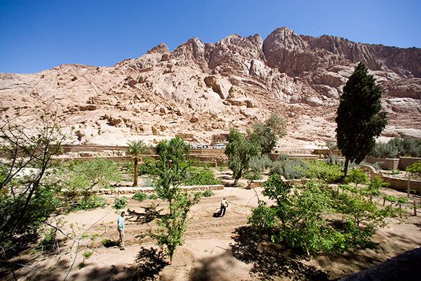 Sinai Heritage